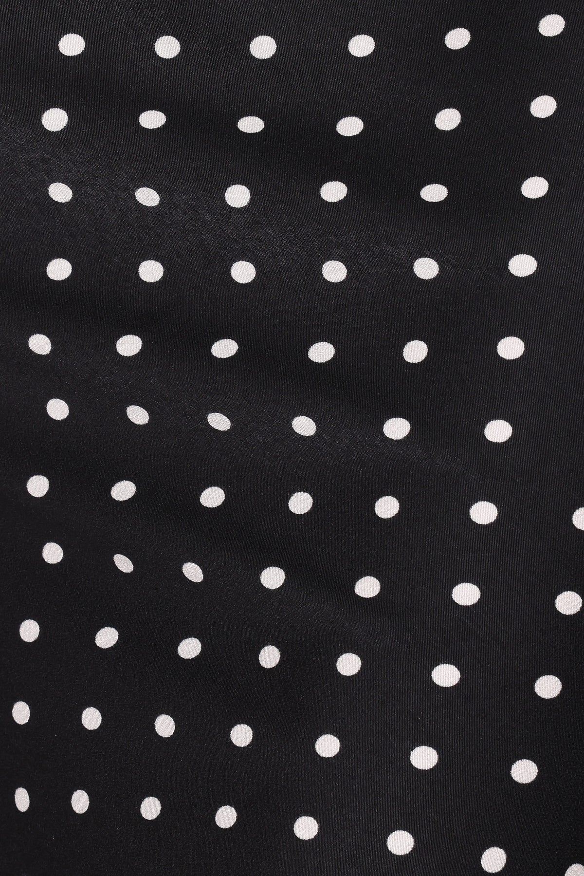 Ailbhe Lace Skirt in Black Polka Dot – view 8 of 8