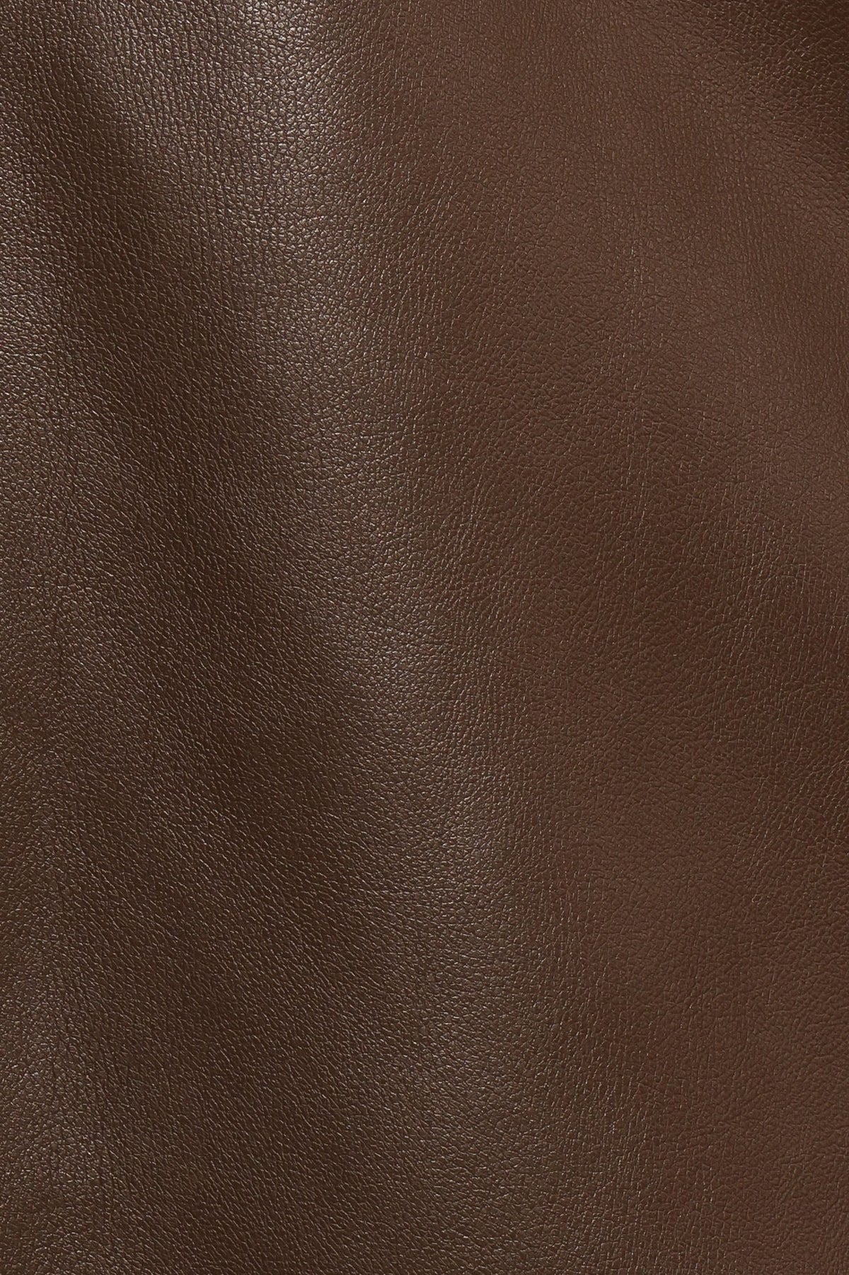 Haelee Faux Leather Skirt in Brown – view 6 of 6