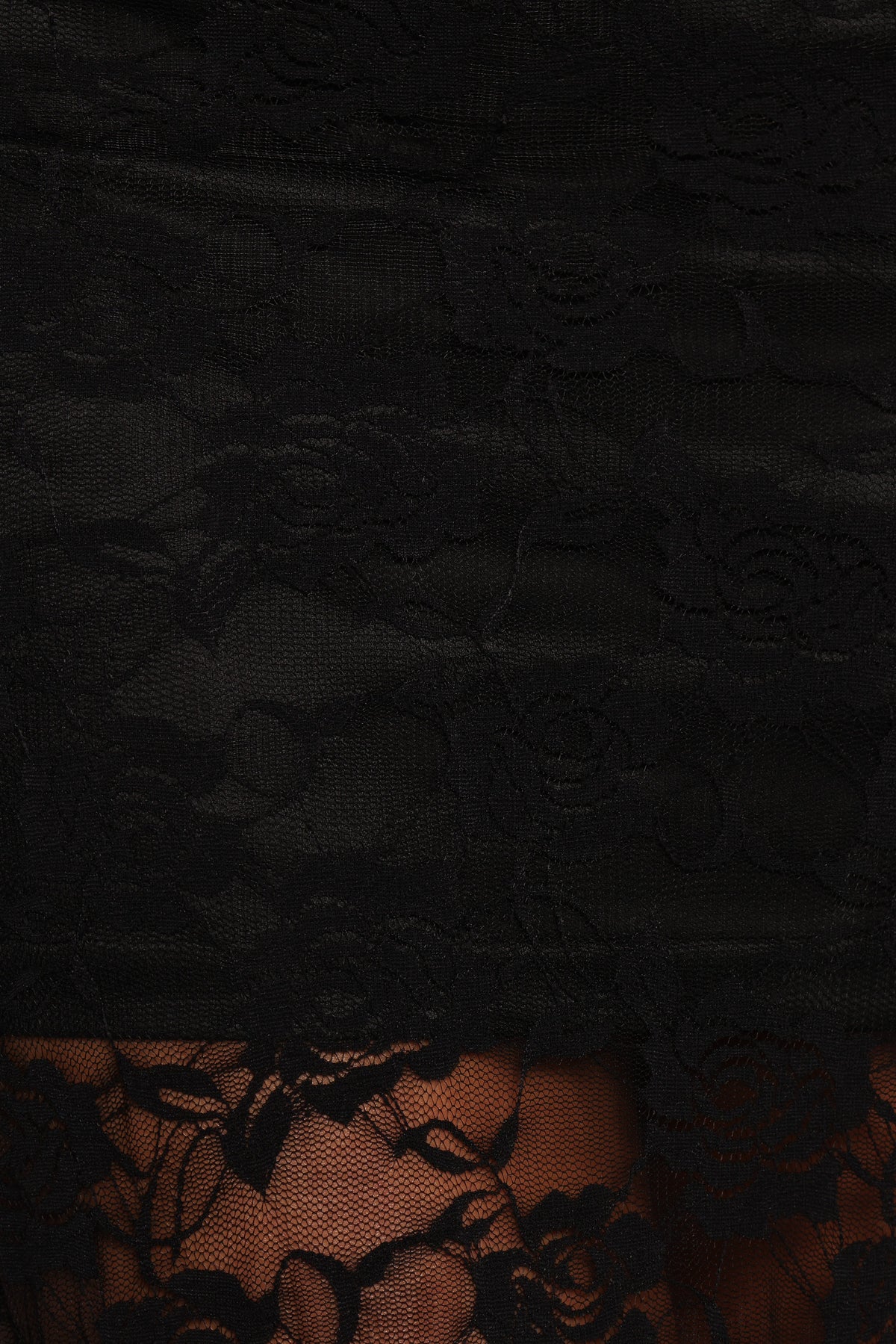 Laken Sheer Lace Maxi Skirt in Black – view 6 of 6