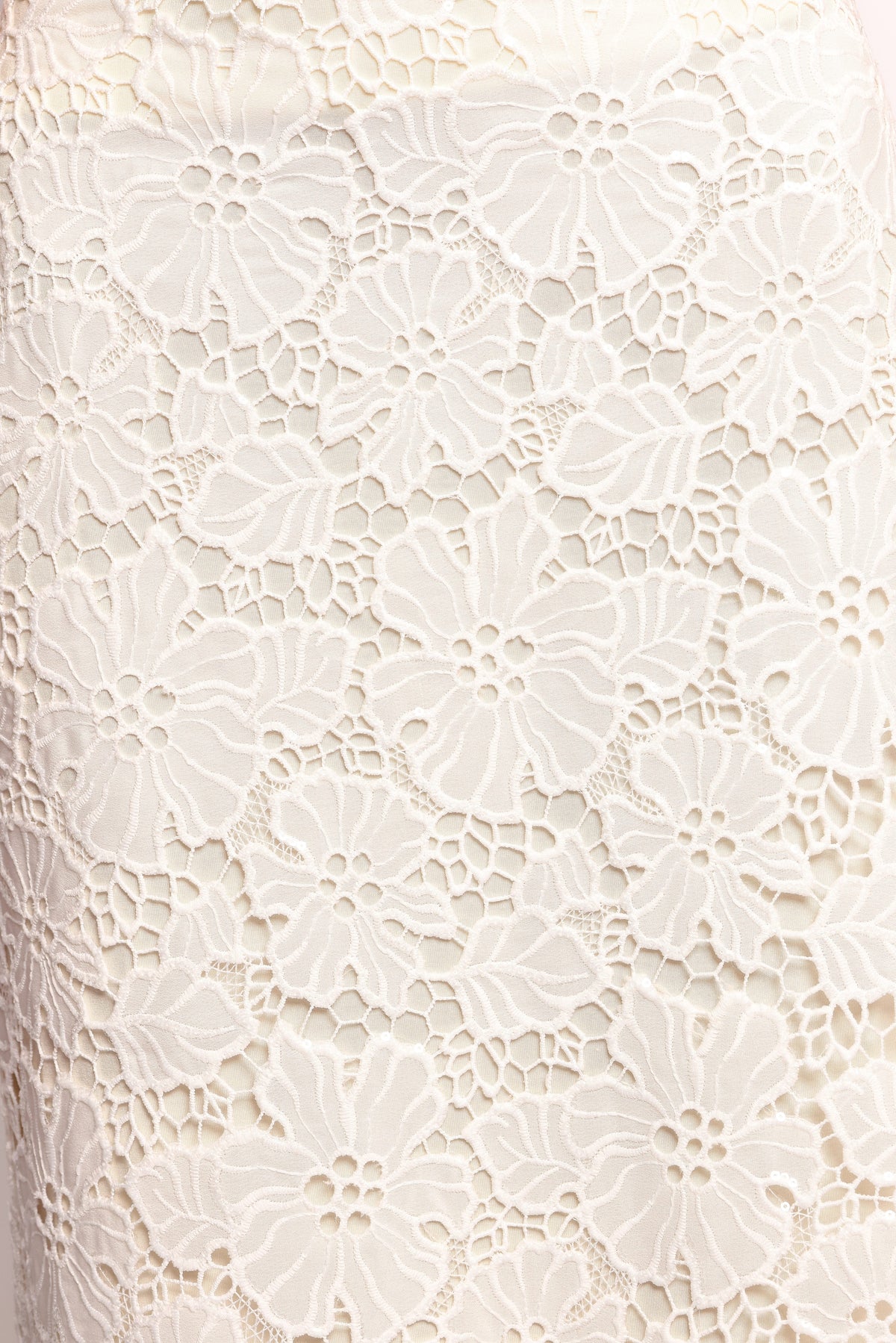 Mika Floral Lace Maxi Skirt in White – view 5 of 5