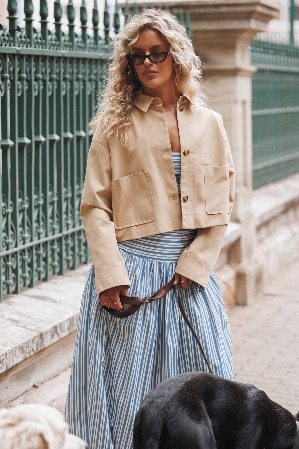 Mattie Cropped Trucker Jacket in Taupe – view 9 of 9