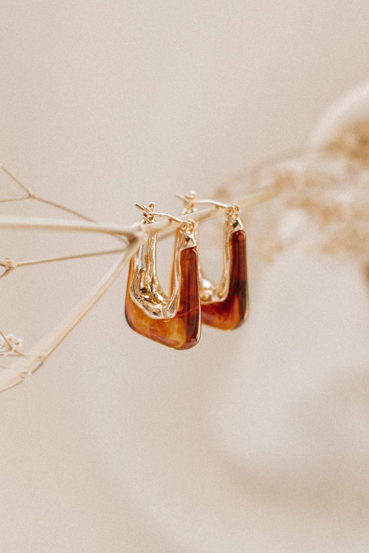 Minsi Earrings in Brown – view 1 of 5