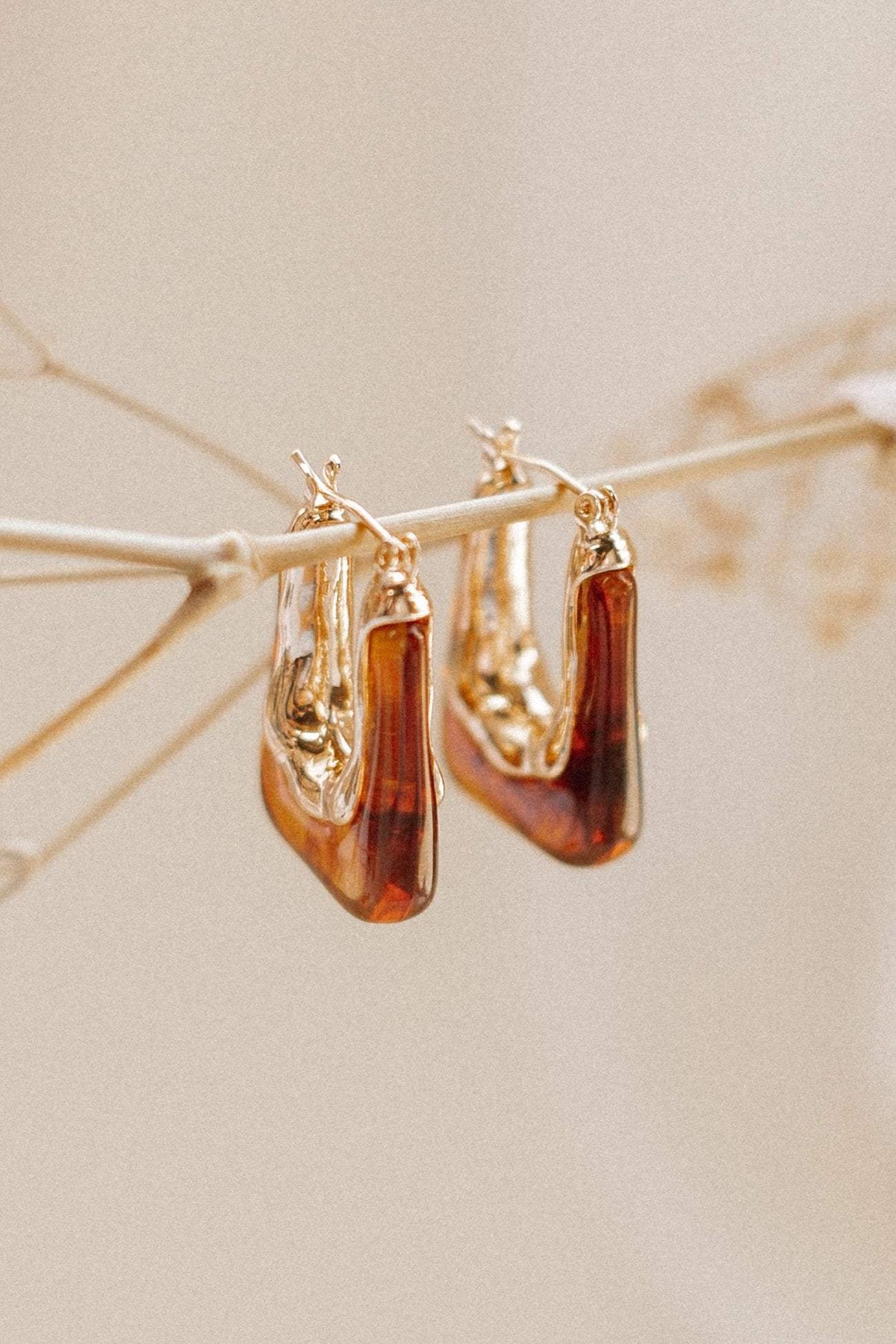 Minsi Earrings in Brown – view 3 of 5