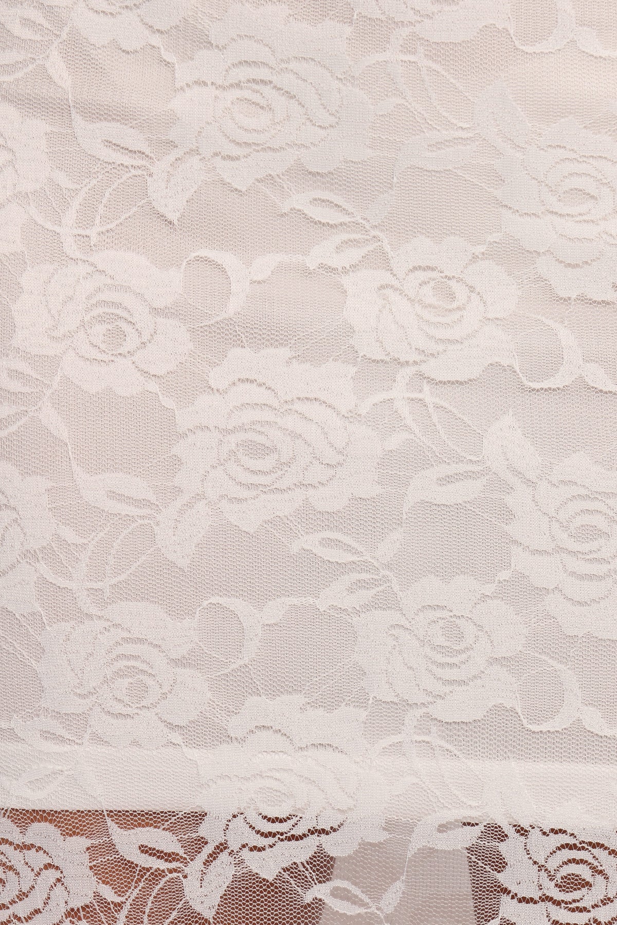 Laken Sheer Lace Maxi Skirt in White – view 5 of 5